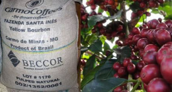 Fazenda Santa Ines coffee