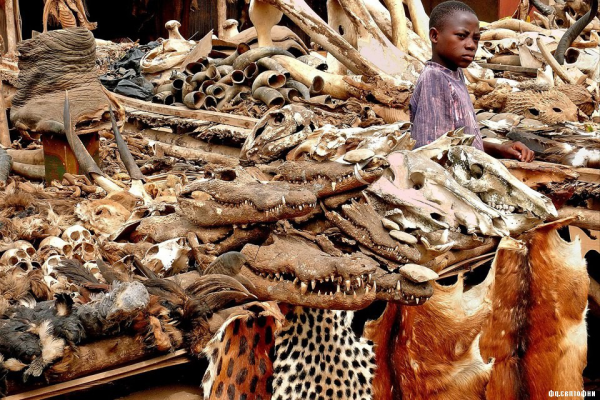 Магический рынок Акодессева в Того