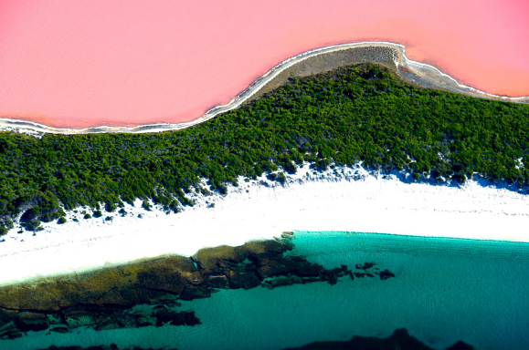розовое озеро Австралия