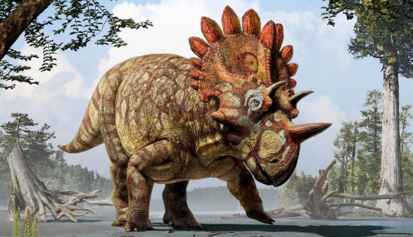 динозавр трицератопс