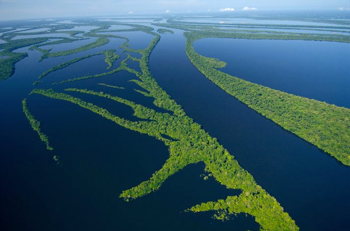 Интересные факты о реке Амазонке