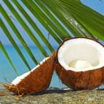 невероятные факты о кокосе