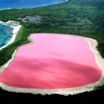 Уникальное явление – розовое озеро